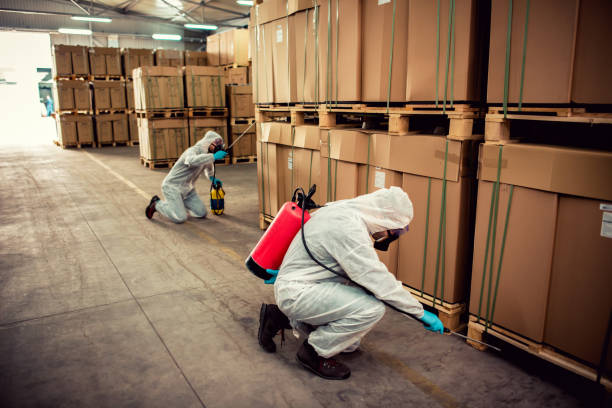 Best Best Pest Control Near Me  in Clyde, NY
