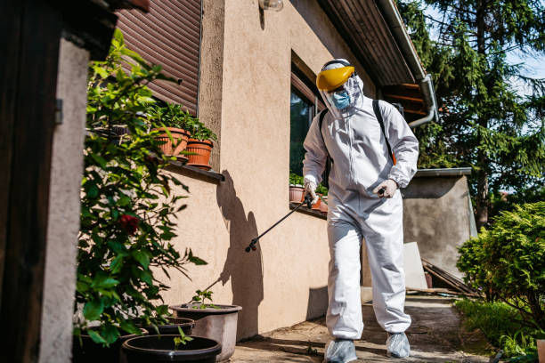 Best Flea Control Services  in Clyde, NY